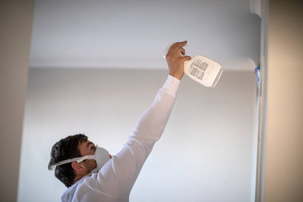Best Same-Day Mold Removal  in North Port, FL